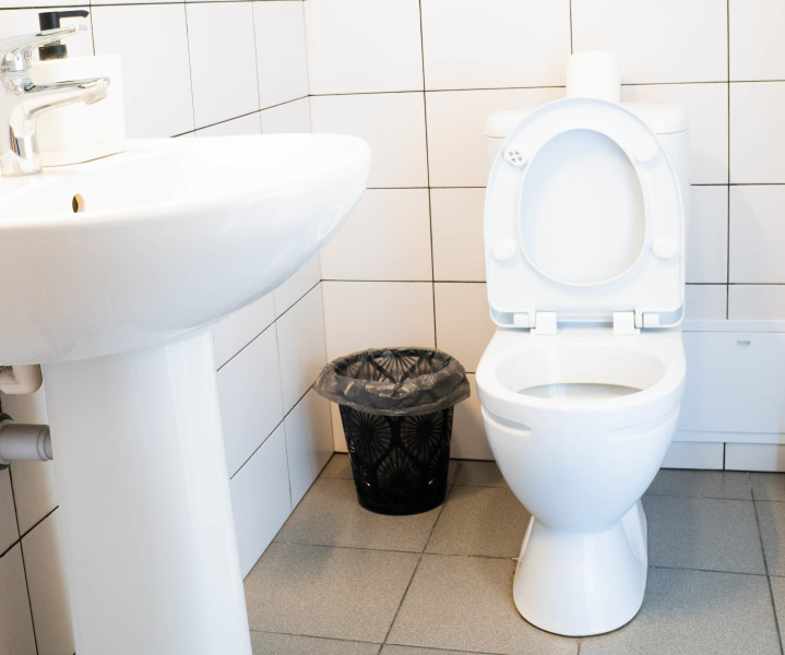 ТЕРРА АЛТАЯ