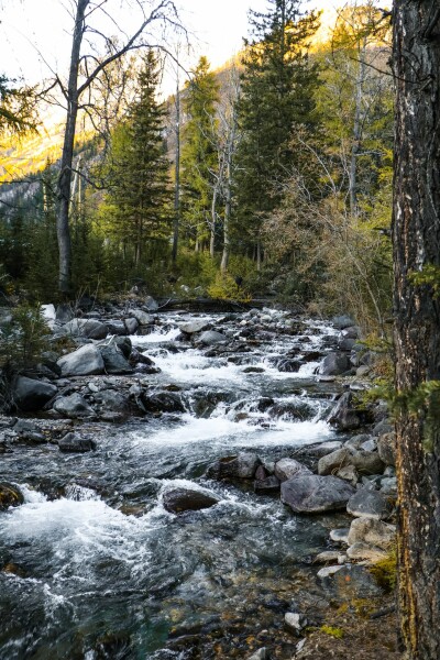 Горный отель Речные земли - photo 2