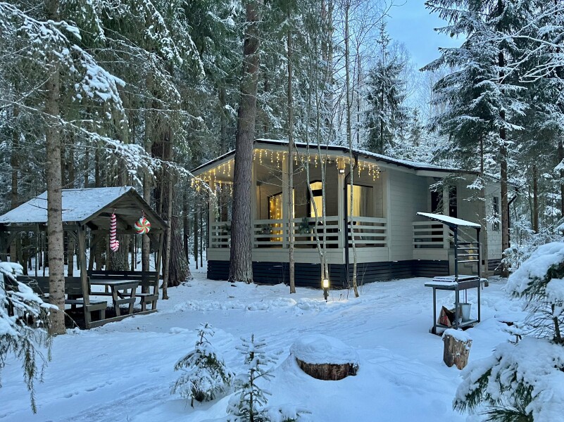 Сосновый бор гостевой дом на Селигере