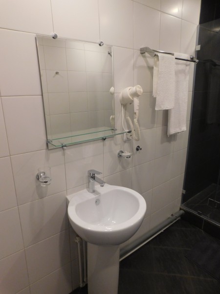 Papina Dacha Hotel - photo 3