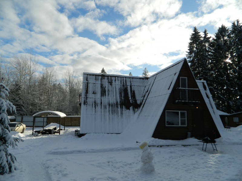 Коттеджи "Зимняя Сказка" - photo 3