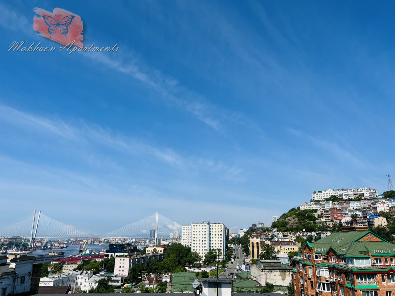 Makhaon Apartments Vladivostok - photo 3