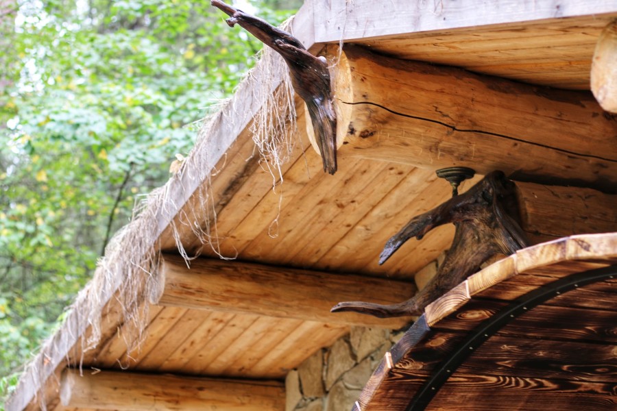 Курорт «Костоваты» - photo 5