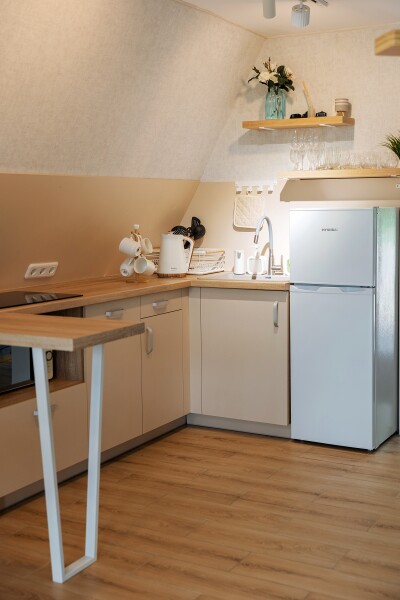 Ёлки.Чилл - photo 5