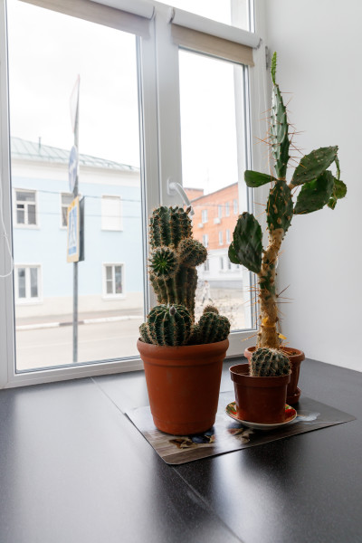 Мой год - photo 4