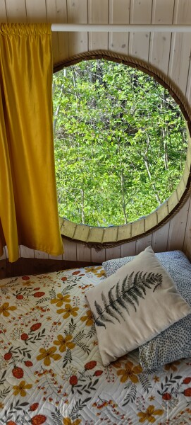 Дом на дереве - photo 3