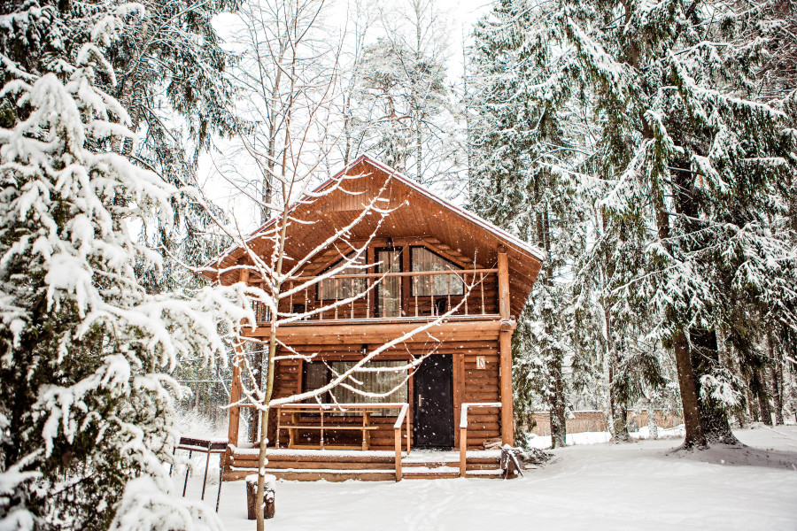 База отдыха "Тридевятое царство" - photo 3