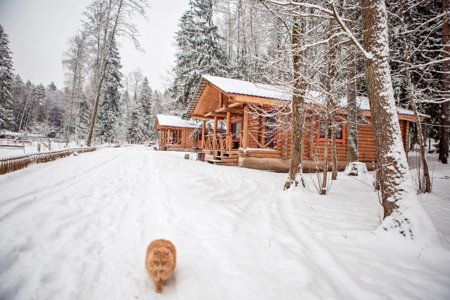 База отдыха "Тридевятое царство" - photo 4