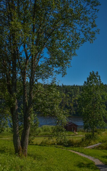 База отдыха "Хутор Ярви" - photo 4