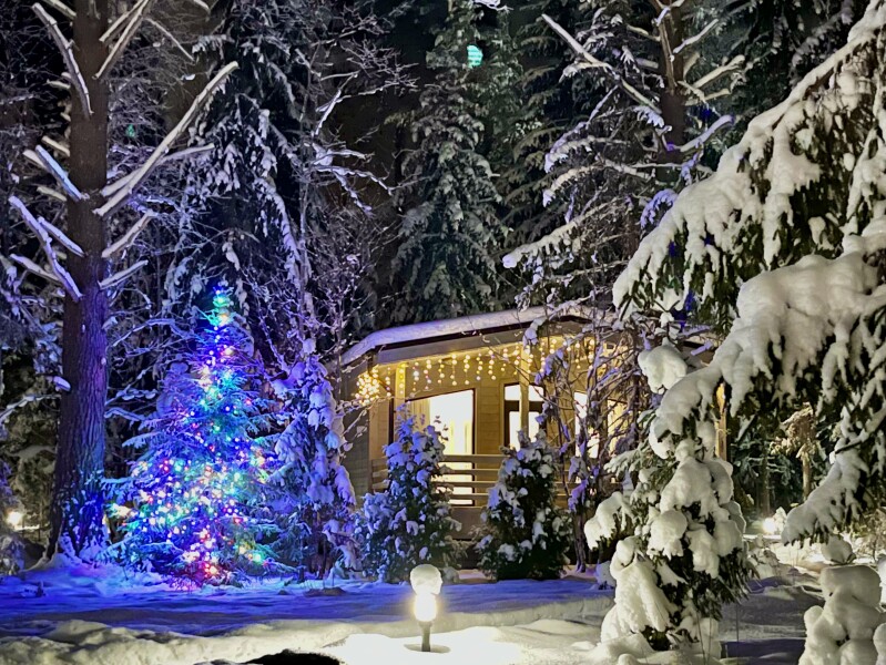 Сосновый бор гостевой дом на Селигере - photo 4