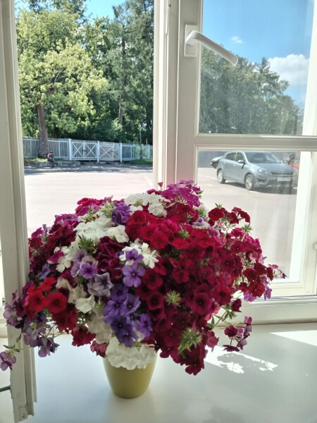 Екатерина - photo 5