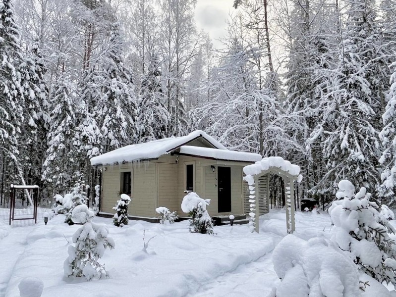 Сосновый бор гостевой дом на Селигере - photo 2