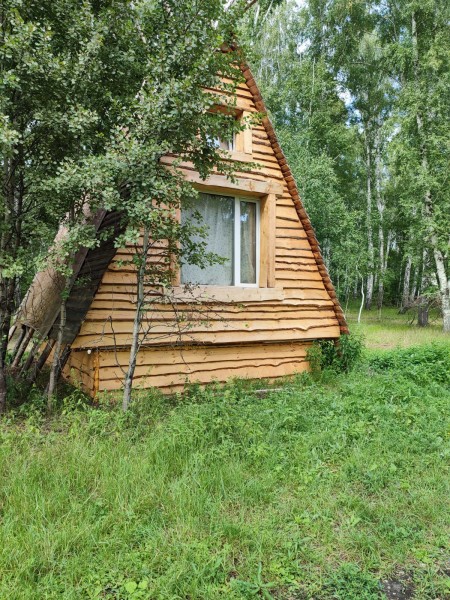 Весёлая ферма - photo 3