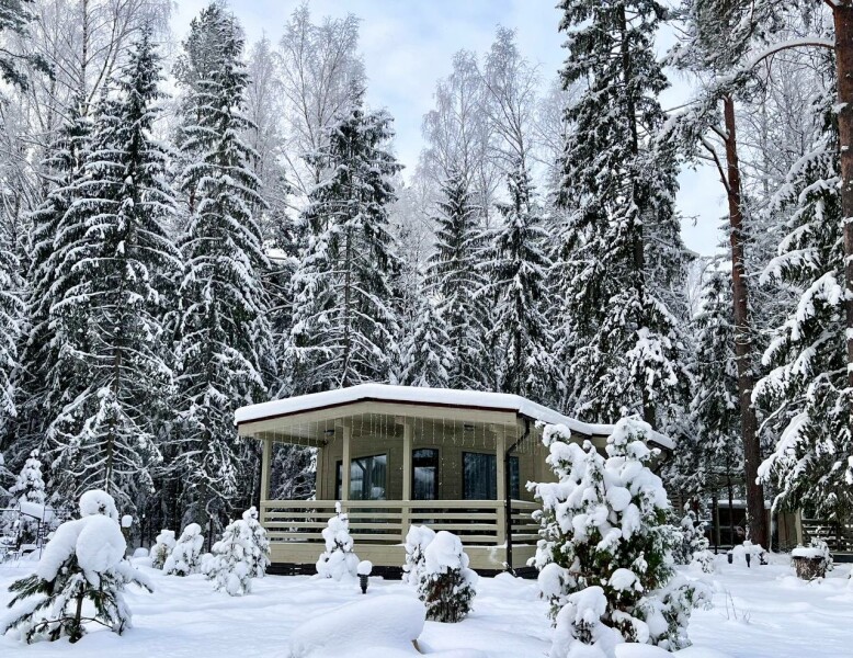 Сосновый бор гостевой дом на Селигере